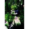 Stone Buckingham Urn